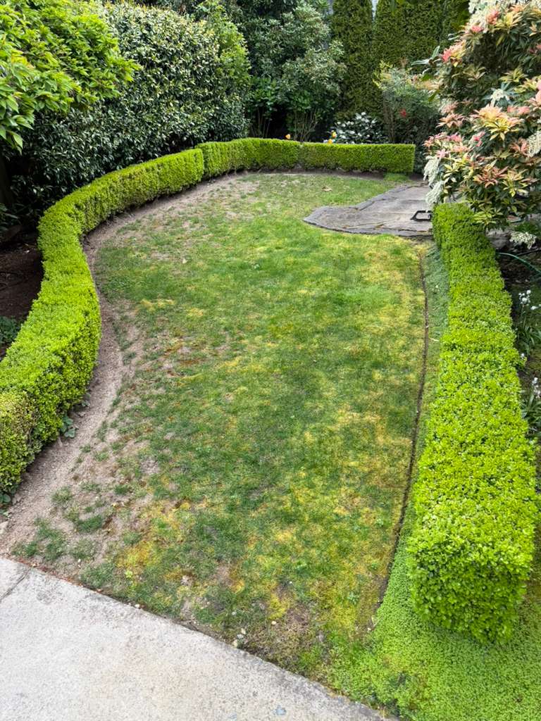 Before - Patchy lawn before artificial turf installation